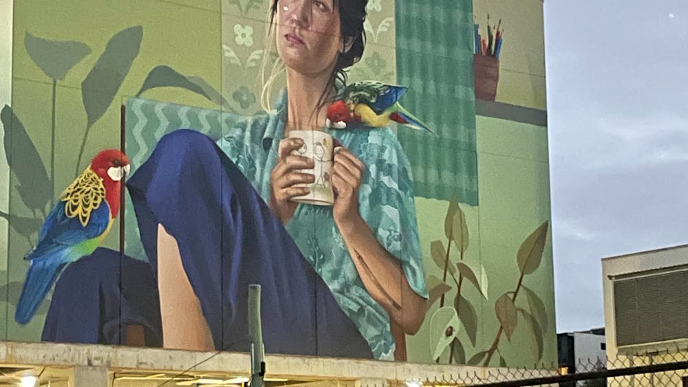 Thumbnail for Braddon Street Art Tour