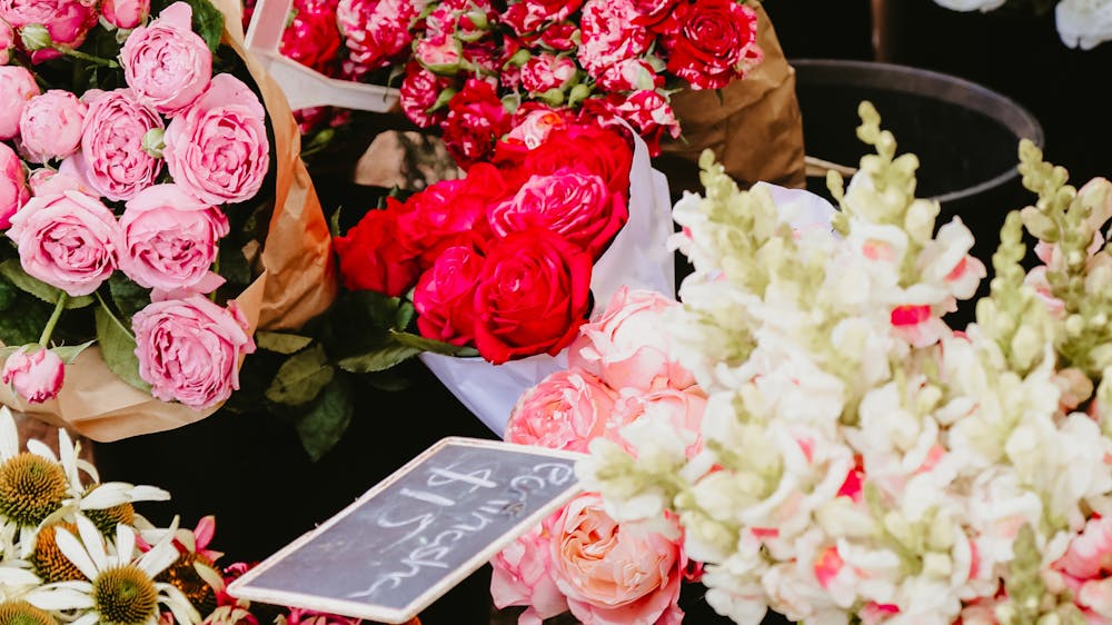 Thumbnail for Mumfest at Haig Park Village Markets