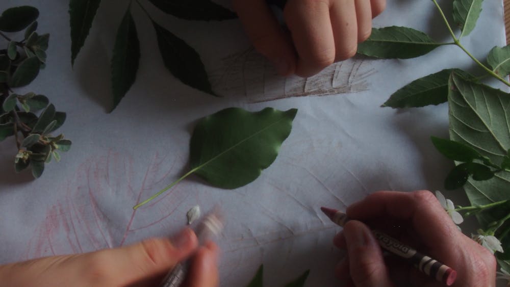 Thumbnail for Leaf Light