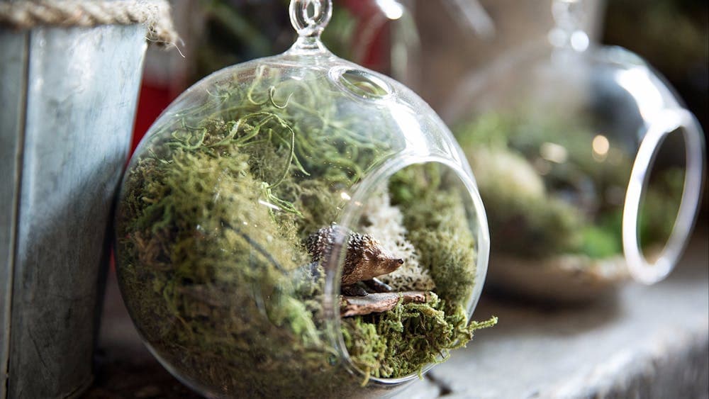 Custom made terrariums