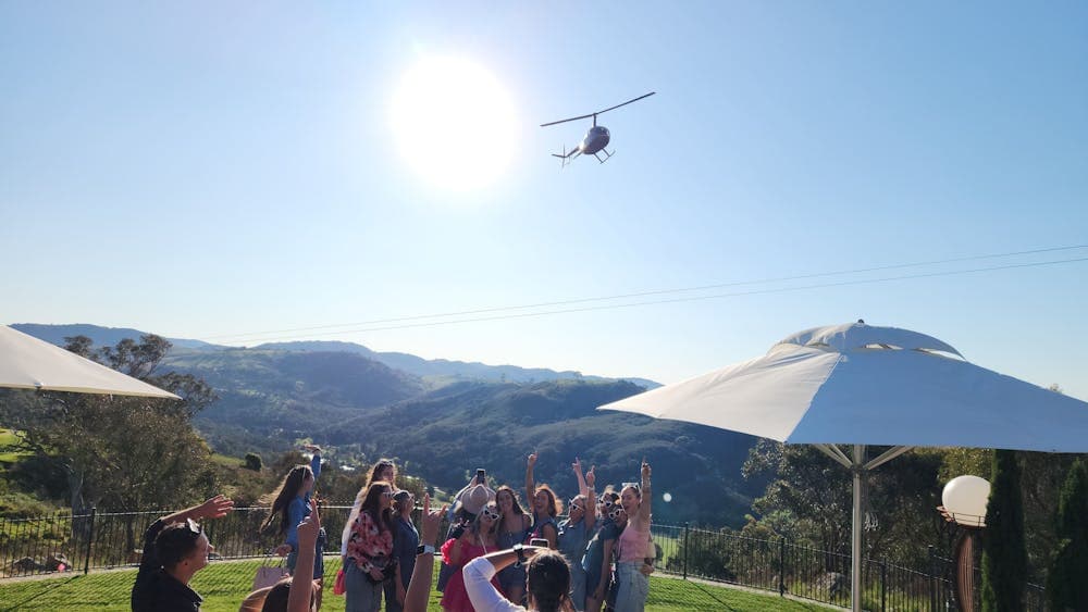 A cluster of individuals positioned in a field surrounded by nature