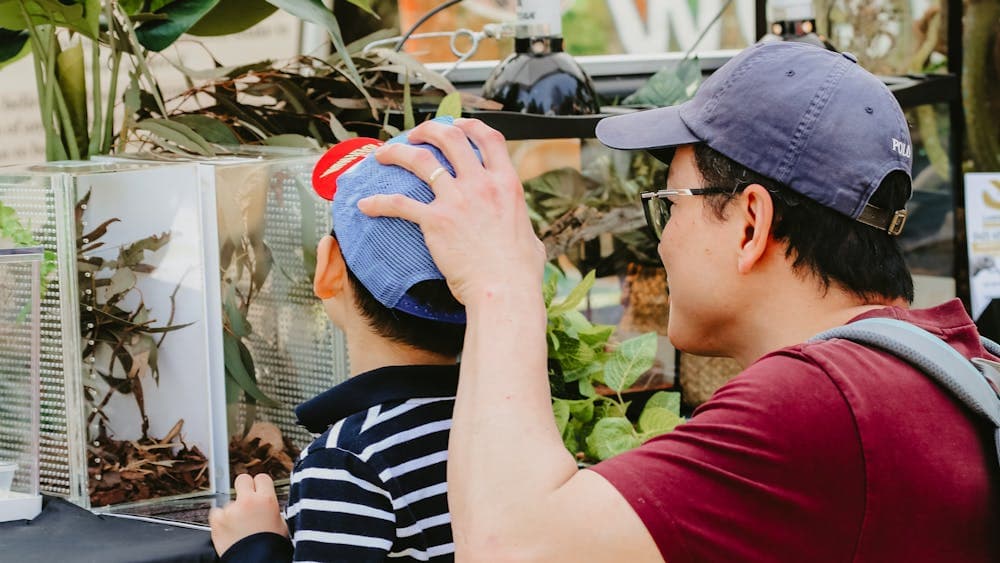 An image of Canberra Snake Rescue reptile display at Haig Park Village Markets