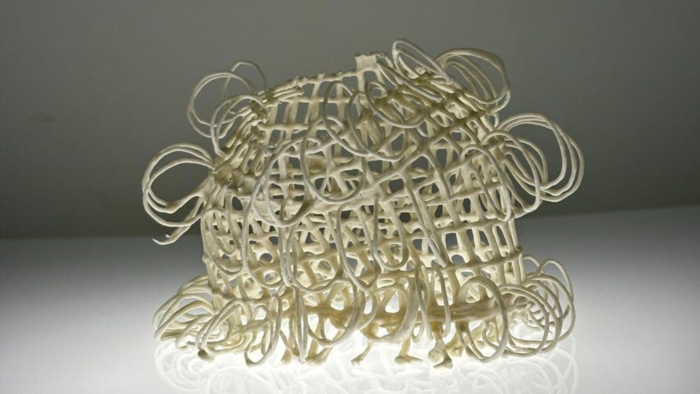 Image | Lisa Stevenson 2 Frills 2026 | Image courtesy of the artist