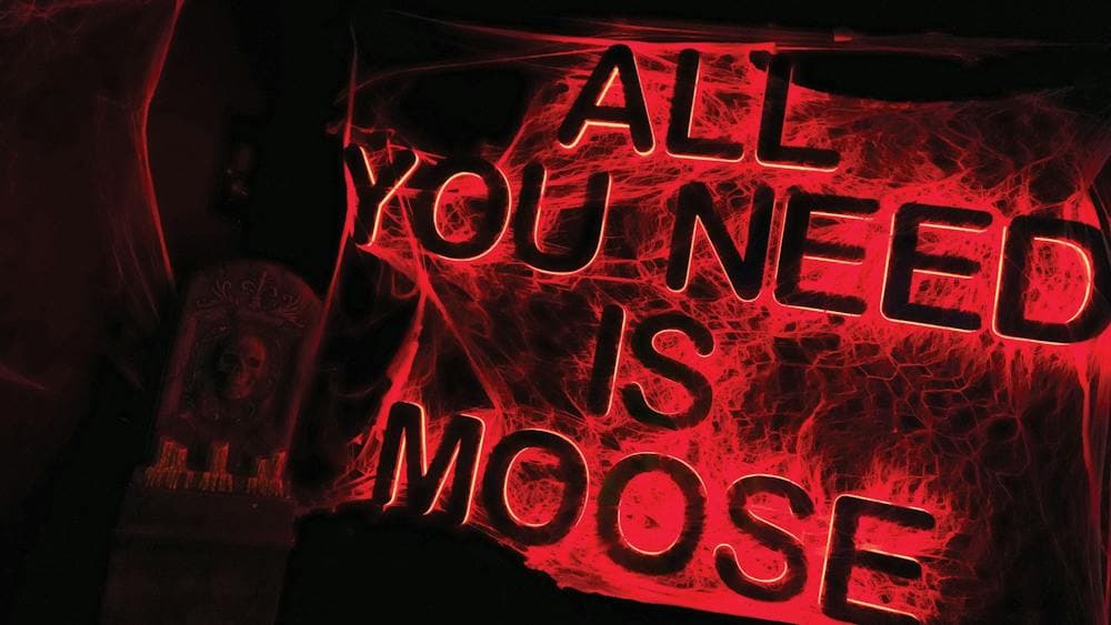 Mooseheads Canberra