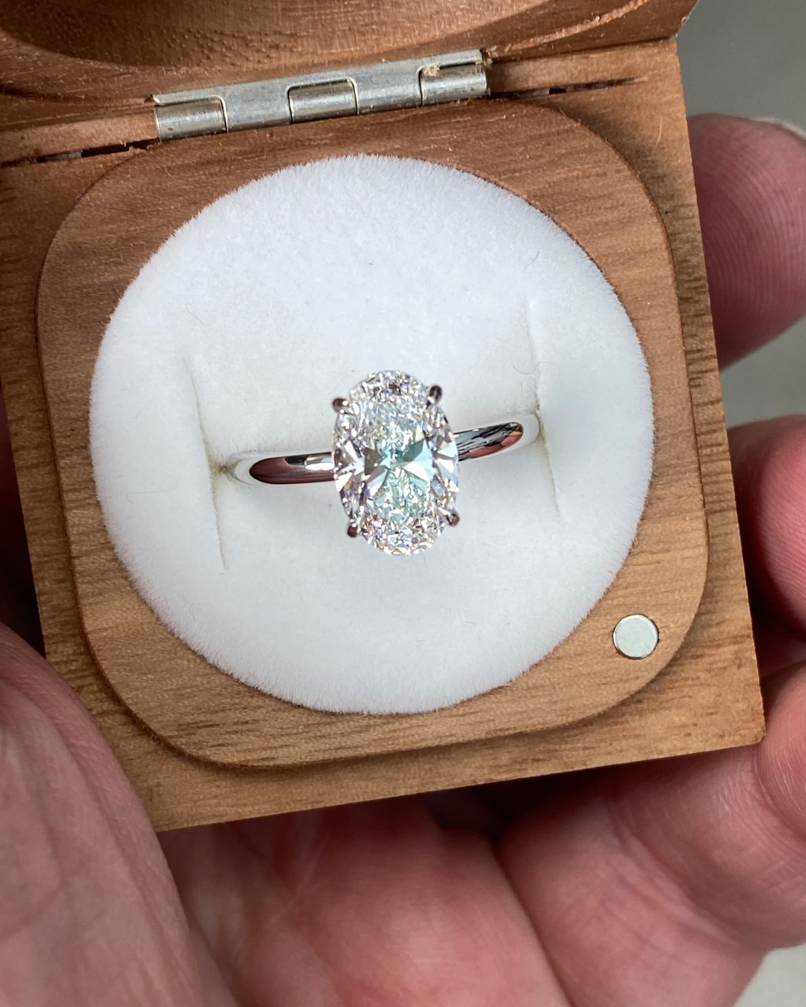 harlequin jewellers canberra