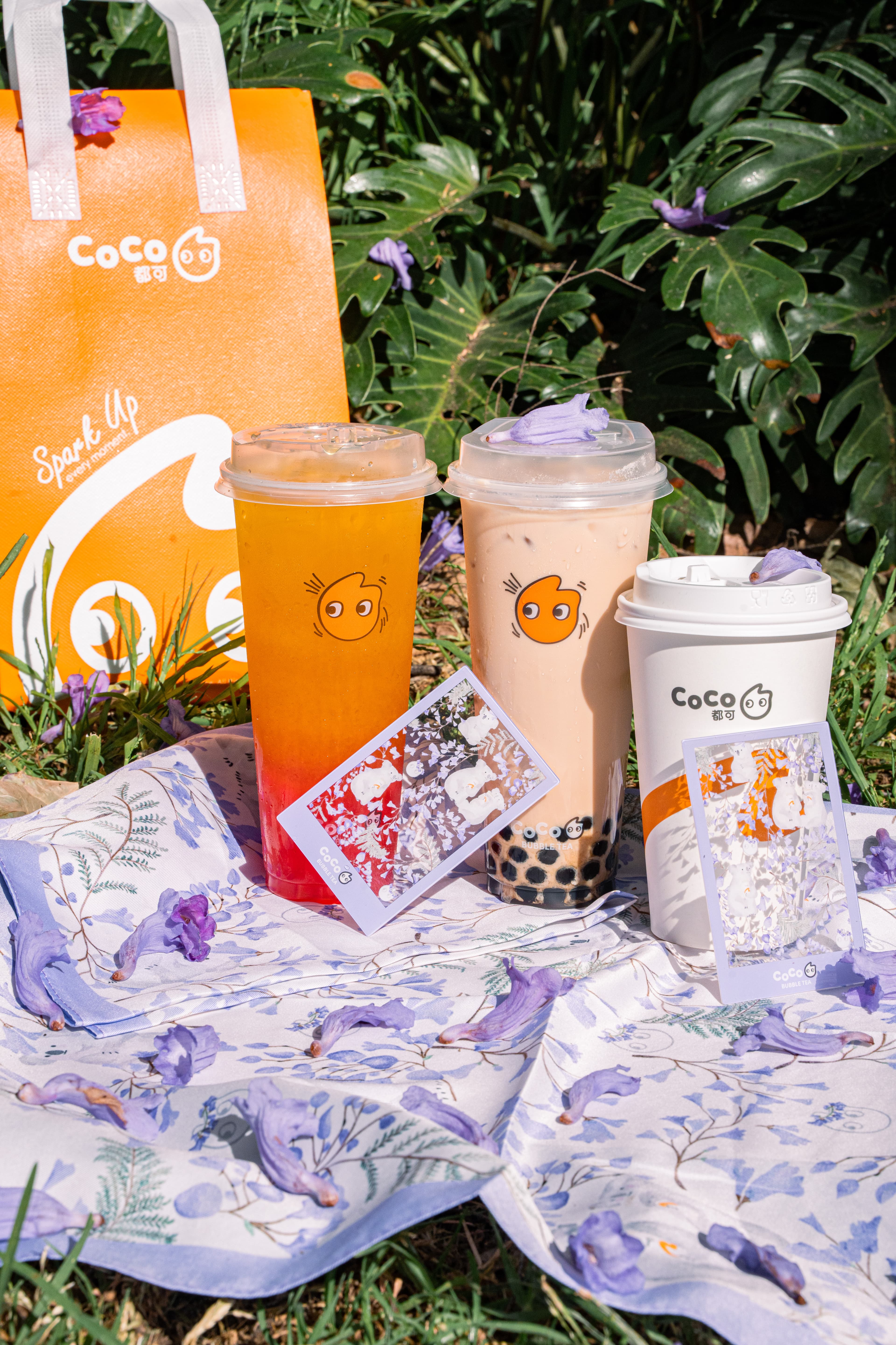 Coco bubble tea