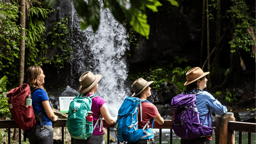 Guided Walks Scenic Rim