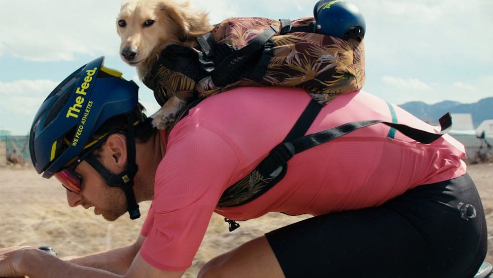 Male bike rider with a small golden dachshund dog on his back