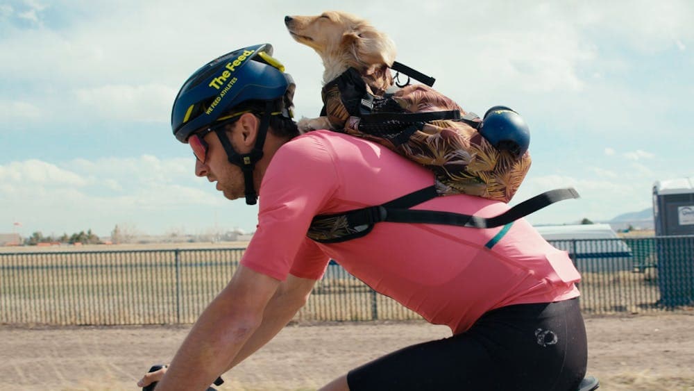 Male bike rider with a small golden dachshund dog on his back enjoying the breeze