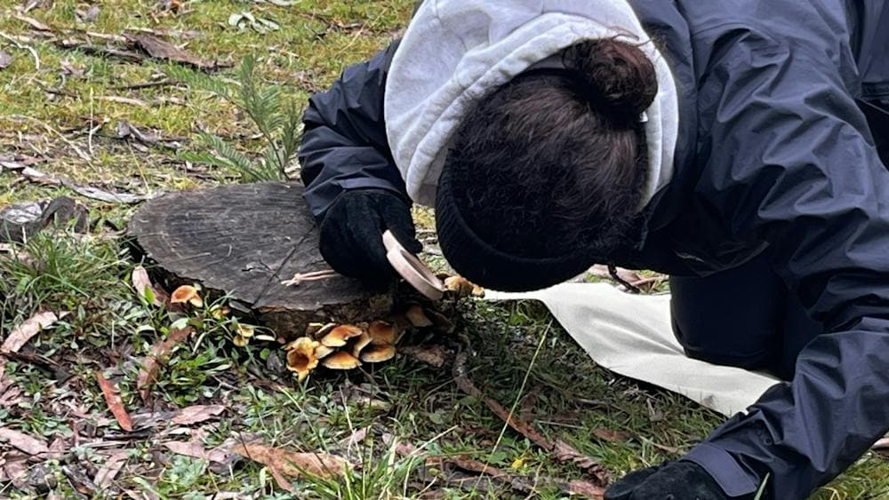 Woman exploring tiny details in nature with magnifying glass